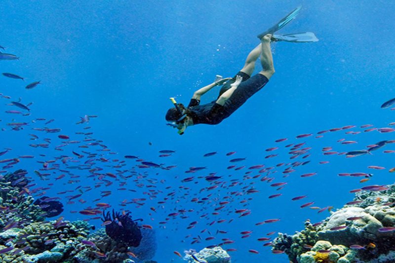 Plongée sous marine