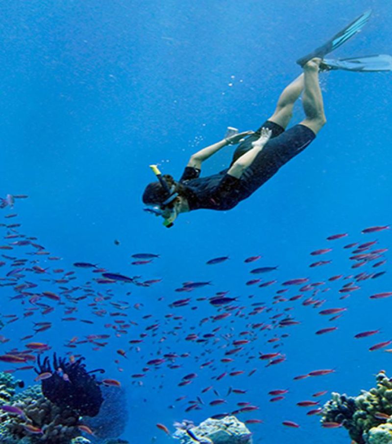 Plongée sous marine